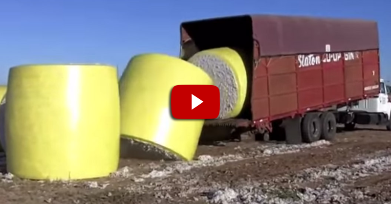 This Is How You Load A Truck Like A Boss