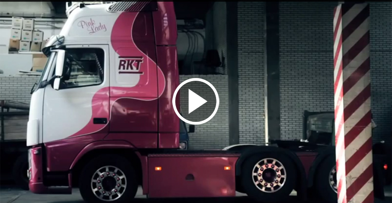 If they ever made a Barbie truck driver edition it would probably look something like this.