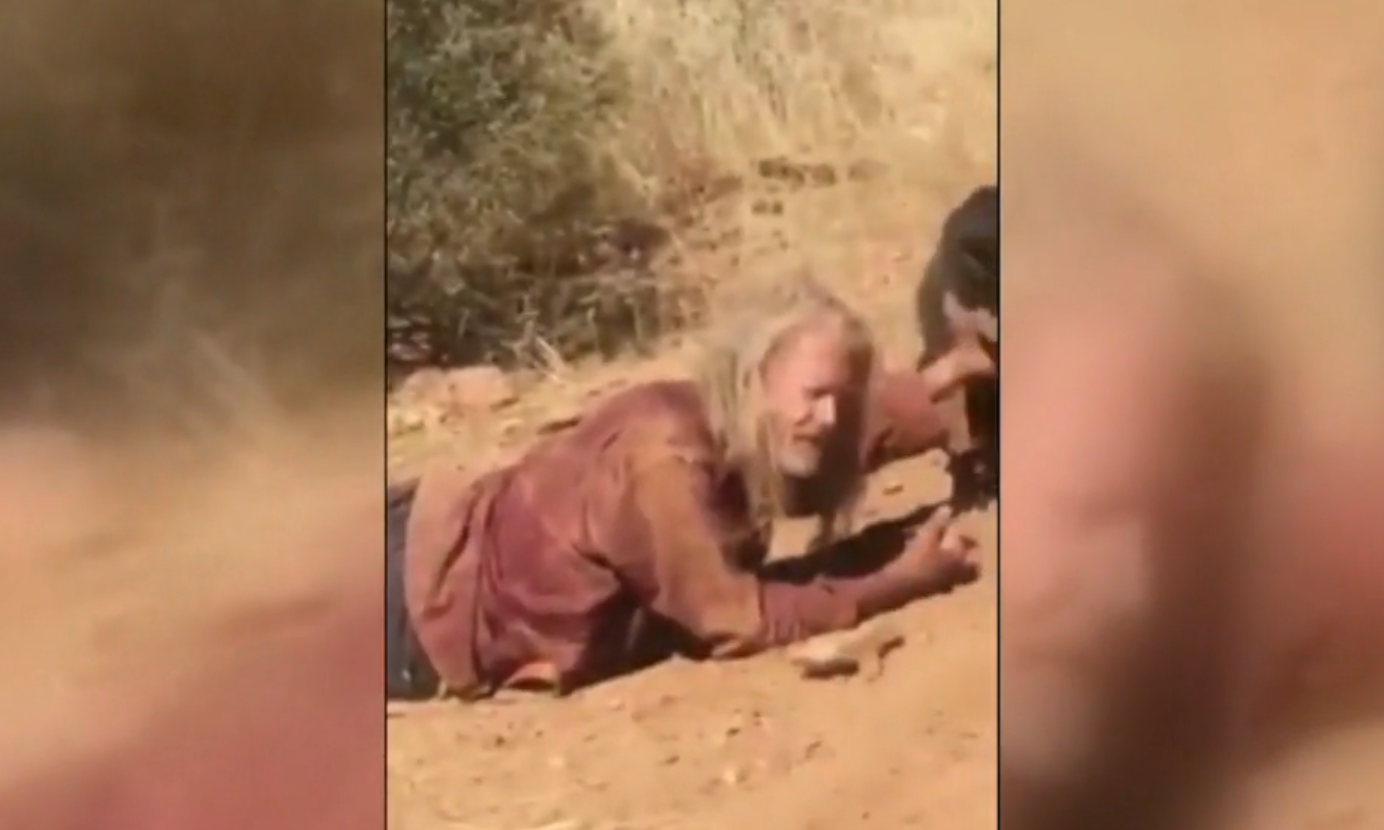 Dog standing in middle of road leads tow truck driver to injured owner