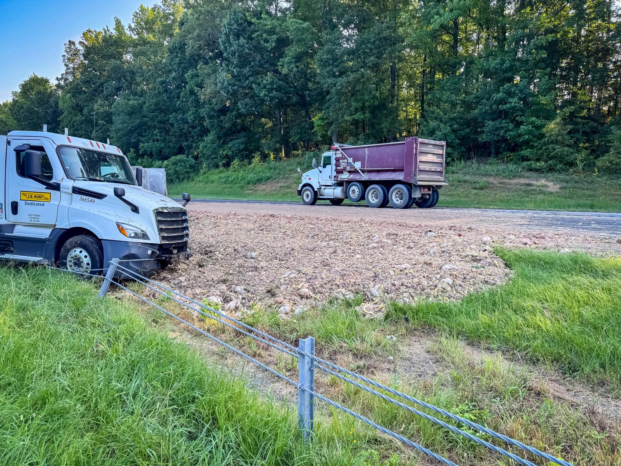 Truck driver cited for crash that left South Carolina roadway littered with CHICKEN CARCASSES