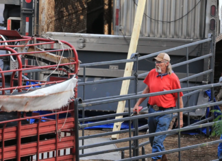70 cows still at large following cattle-truck overturn